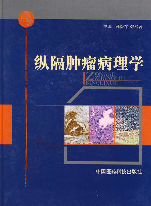 纵隔肿瘤病理学【正版图书】