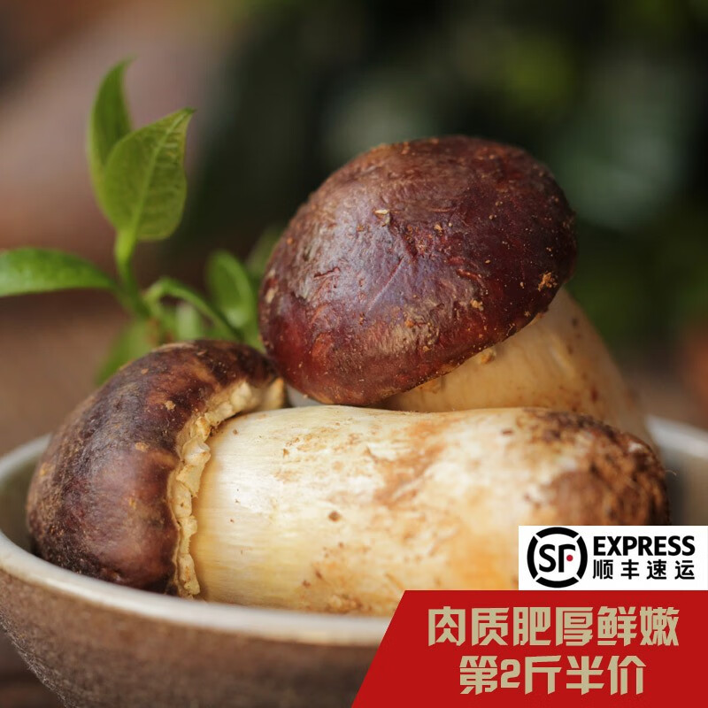 5-1kg 赤s茸鲜货巴西蘑菇球盖 蘑菇菌火锅涮菜 500克