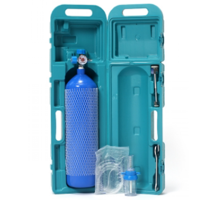 氧气瓶便携式氧气罐家用老人孕妇医用4升手提式小型高原工业用 便携式
