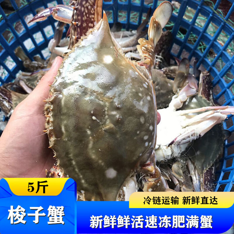 活冻梭子蟹肥硕新鲜大公蟹鲜活速冻肥满生鲜 5斤  1.5-2两/只