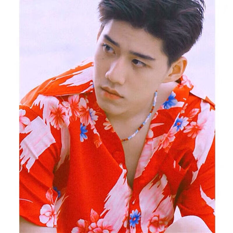 衬衫男长袖bkpp欧儿花pp衬衣普吉岛夏威夷港风短袖上衣夏 红色pp扶桑