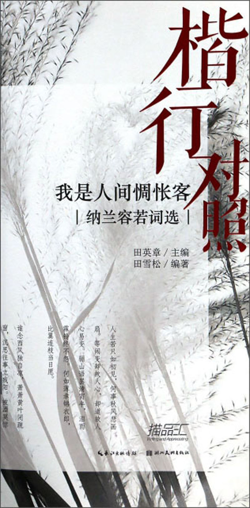 我是人间惆怅客（纳兰容若词选 楷行对照）