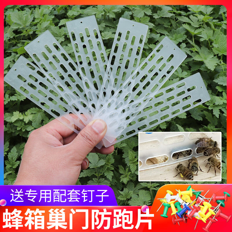 喜普塑料蜂王防跑片中蜂专用防逃片蜜蜂箱巢门防盗隔王板送钉养蜂工具