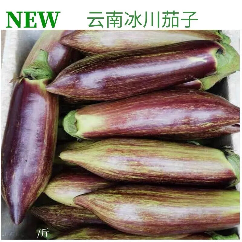 良邻和优云南冰川茄子 新鲜蔬菜 糯花茄 餐厅酒店食材 2500克