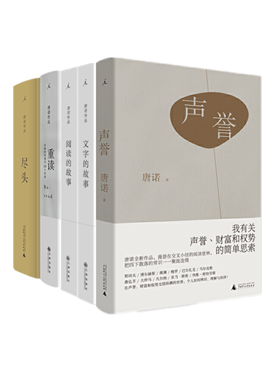 唐诺作品(全五册)声誉 文字的故事 阅读的故事 尽头 重读