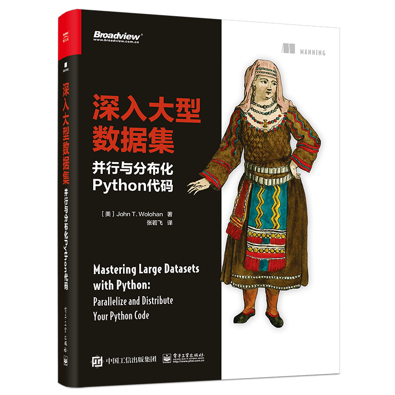 深入大型数据集：并行与分布化Python代码(博文视点出品)封面