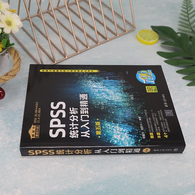 SPSS统计分析从入门到精通(第五版)