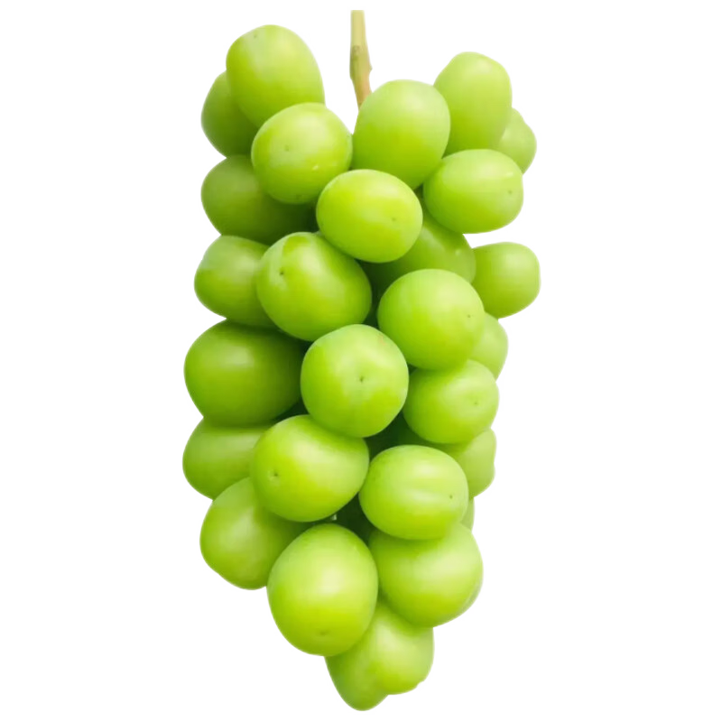 plus会员:阳光玫瑰葡萄 单果10g左右 净重2.7-3斤