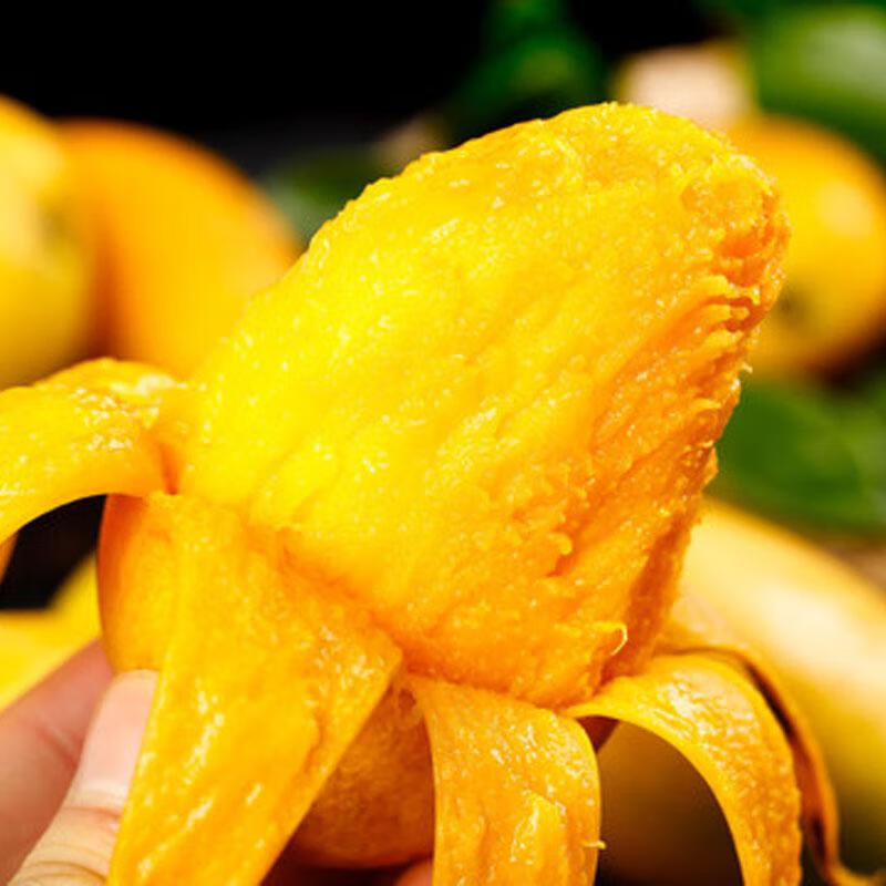 鲸咚亿农海南三亚贵妃芒果 新鲜水果芒果礼盒热带水果红金龙 带箱9.5-10斤大果【150-200克】净重9斤