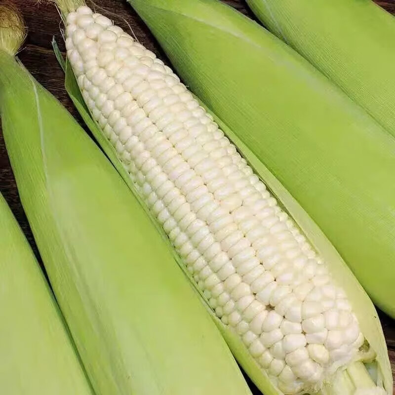 【精选】云南新鲜糯玉米爆浆3-10斤整件白糯玉米 两根试吃装(不推荐)