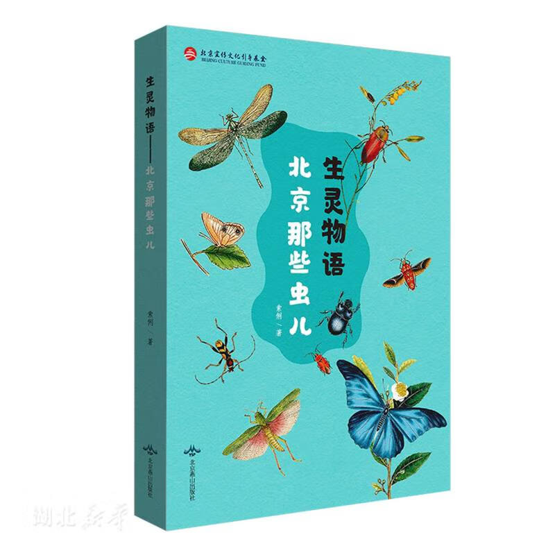 生灵物语:北京那些虫儿