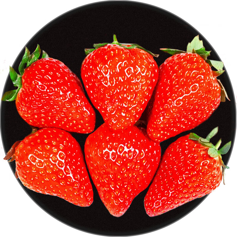 西域美农 大凉山红颜奶油草莓 特级大果3斤 单果25g+ 冷链 孕妇新鲜水果