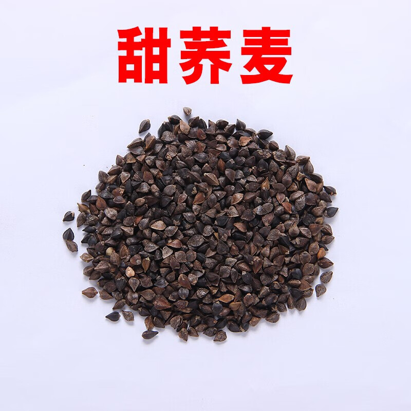 香葶苑 甜荞麦种子苦荞麦种子新种籽黑荞麦种子种植蜜源植物芽苗菜可