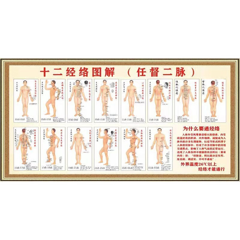 二脉穴位图人体挂画中医养生馆海报墙贴 新款图 其他尺寸或材质请联系