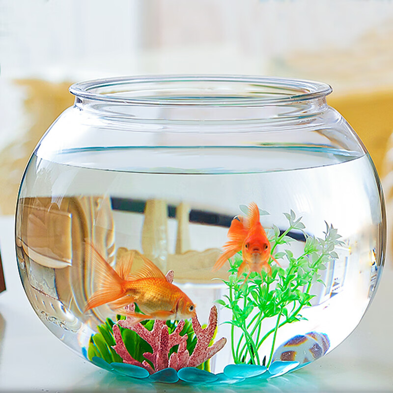 松宝sobo松宝 圆形鱼缸靠谱吗？体验一说真实感受