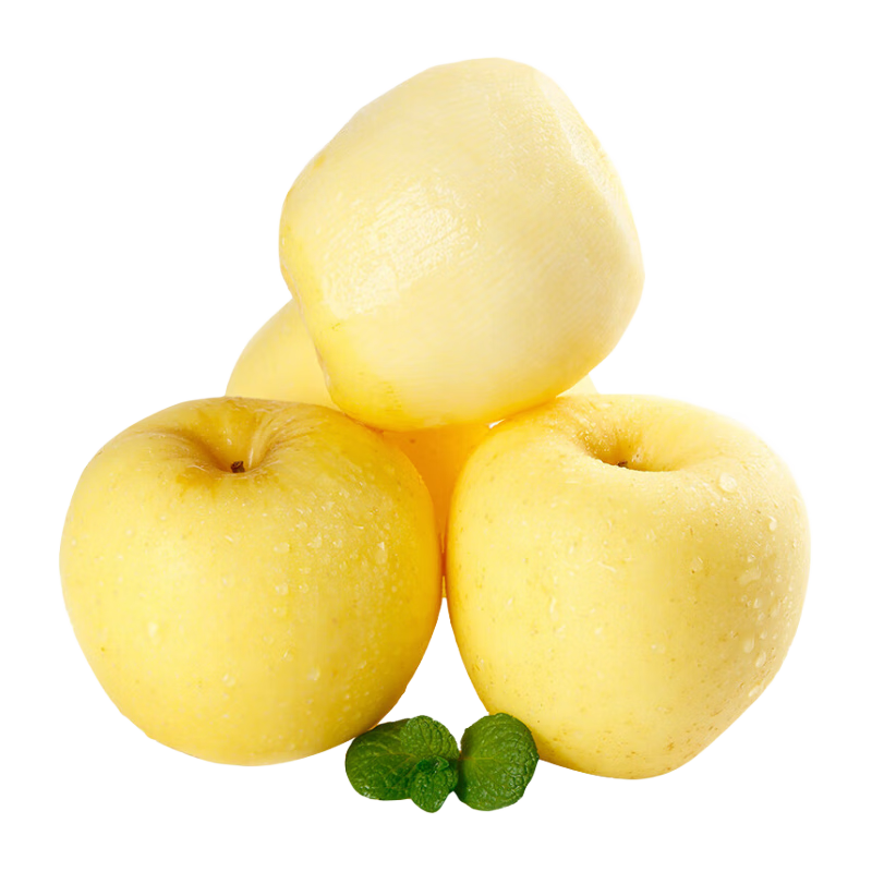 ������ ɽ���ƽ�ά��˹ƻ�� ����3�� ����160g+ ʱ������ Դͷֱ�� 23.9Ԫ(����ȯ)