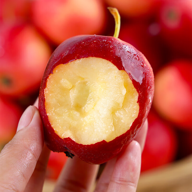 【顺丰空运】新疆阿克苏直发香妃海棠果新生鲜水果冰糖心小苹果 香妃海棠3斤小果(30-50g)