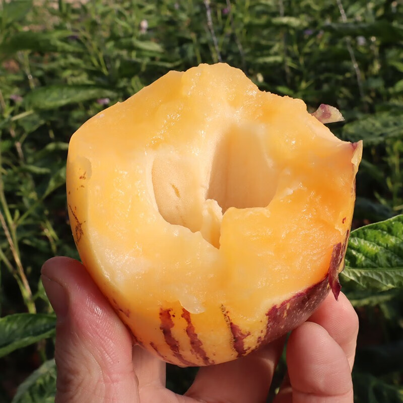 更多水果价格走势图分析|更多水果价格走势图