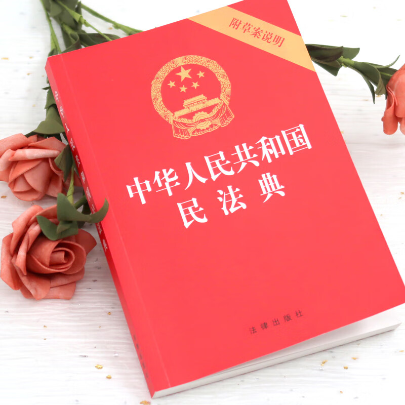 中华人民共和国民法典 附草案说明