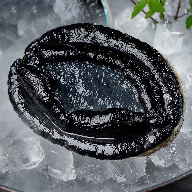 虾优鲜新西兰黑金鲍鱼新鲜特大海捕鲜活冷冻鲍鱼超大刺身级高档海鲜