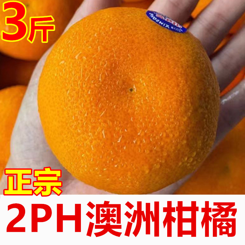 味蕾乐 澳洲进口2ph澳橘澳大利亚橘子新鲜柑橘进口蜜桔新鲜时令水果