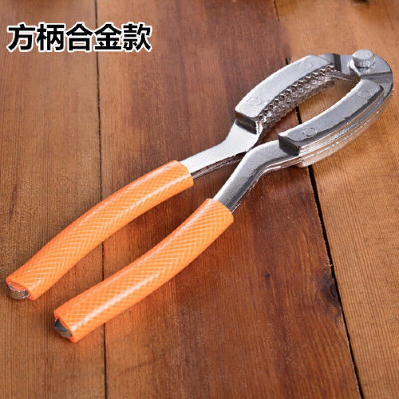 核桃坚果夹能查历史价格吗|核桃坚果夹价格历史