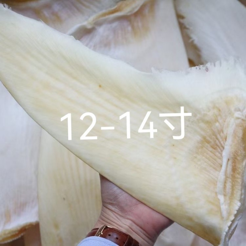 金勾翅菊花翅干货鱼翅乌羊骨翅鱼翅牙拣翅金钩翅元宵节礼物送长辈导领