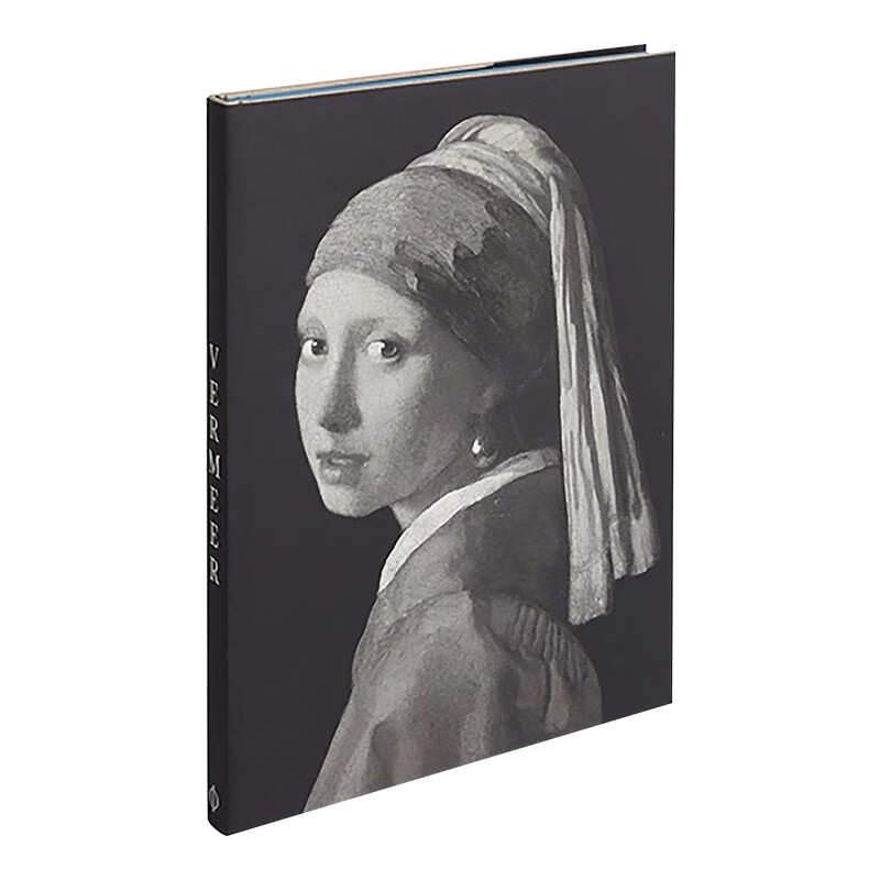 vermeer 画家:维梅尔 classic art 豪华珍藏版 瑞雅进口原版