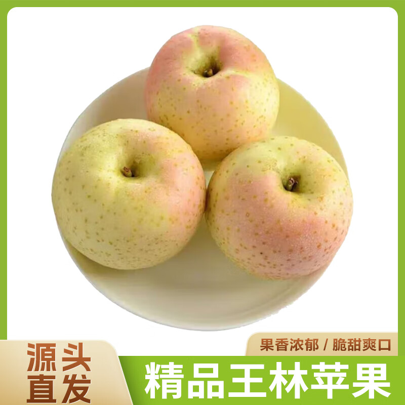 ���� ������ɭ����ƻ��4.8��Լ13ö����70mm+ȸ������ˮ��Դͷֱ��