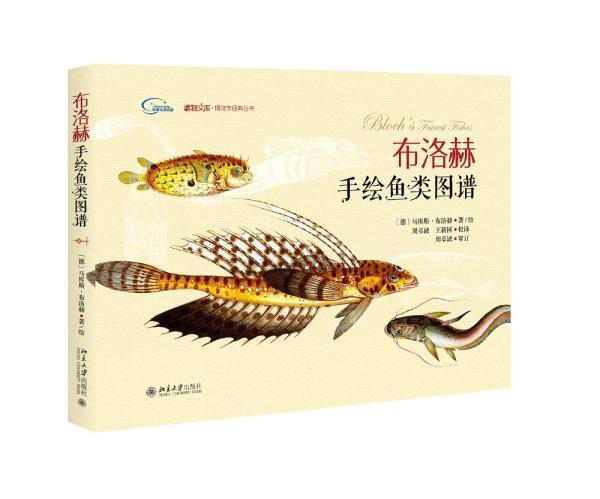 包邮：布洛赫手绘鱼类图谱 科普读物 鱼类图谱 图书
