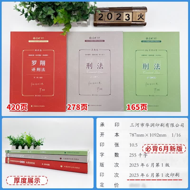 2023厚大法考 罗翔讲刑法 理论卷+真题卷+119考前必背 司法考试精讲卷 真金题卷 背诵卷 2023法考讲义卷 法律职业资格考试辅导用书 厚大司考
