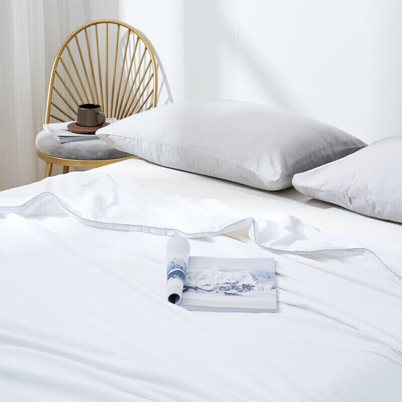 太湖雪蚕丝被 100%桑蚕长丝 纯棉夏凉被 蚕丝净重1斤 220*240cm 白色