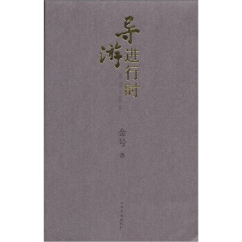 导游进行时 金号 著【正版】