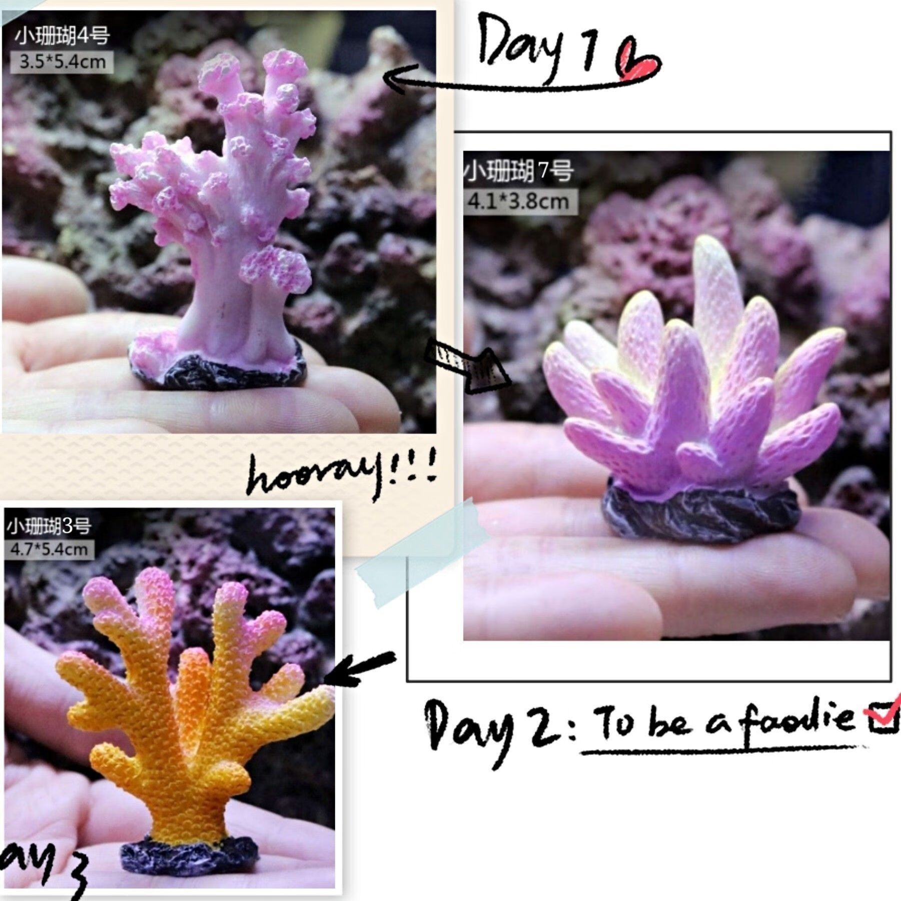 海葵珊瑚鱼缸装饰用品海水缸海星树脂摆件 珊瑚套餐一(鹿角 粉色 粉黄