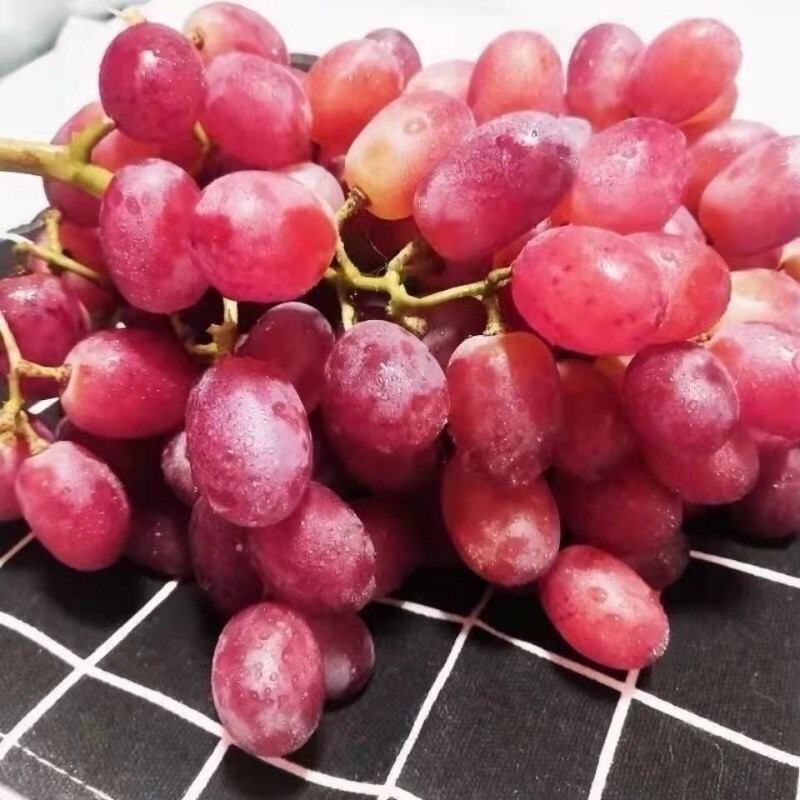 鹏翔宇【顺丰包邮】正宗山西克伦生无籽红提葡萄脆甜一整箱新鲜孕妇水果 净重2斤克伦生【尝鲜装】