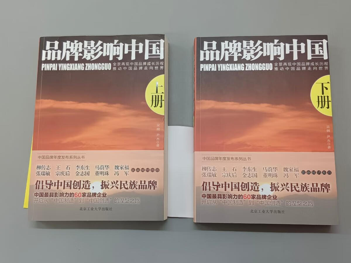 保证正版 可开发票！！品牌影响中国（上、下册） 共2本合售