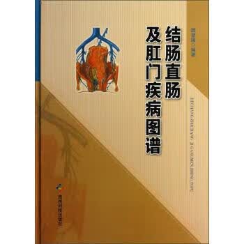 结肠直肠及肛门疾病图谱 颜登国 著【正版】