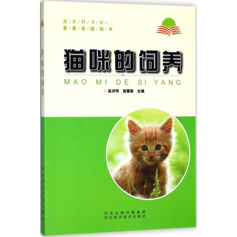 猫咪的饲养