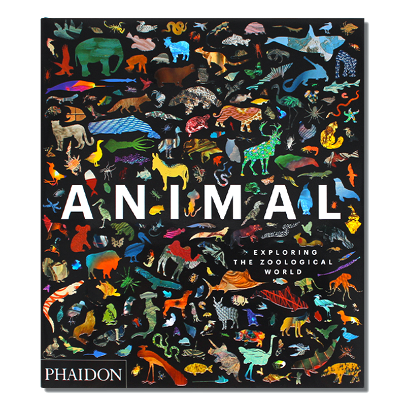 现货包邮 animal: exploring the zoological world 30