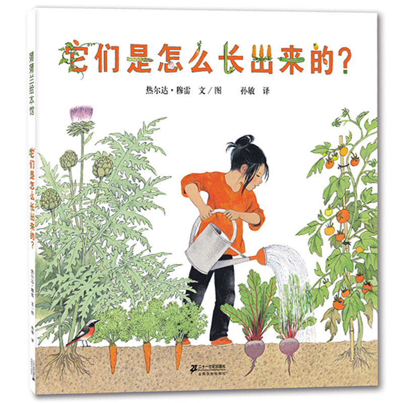 了解蔬菜种植的过程认识植物生长的过程认识自然科普读物绘本图画故事