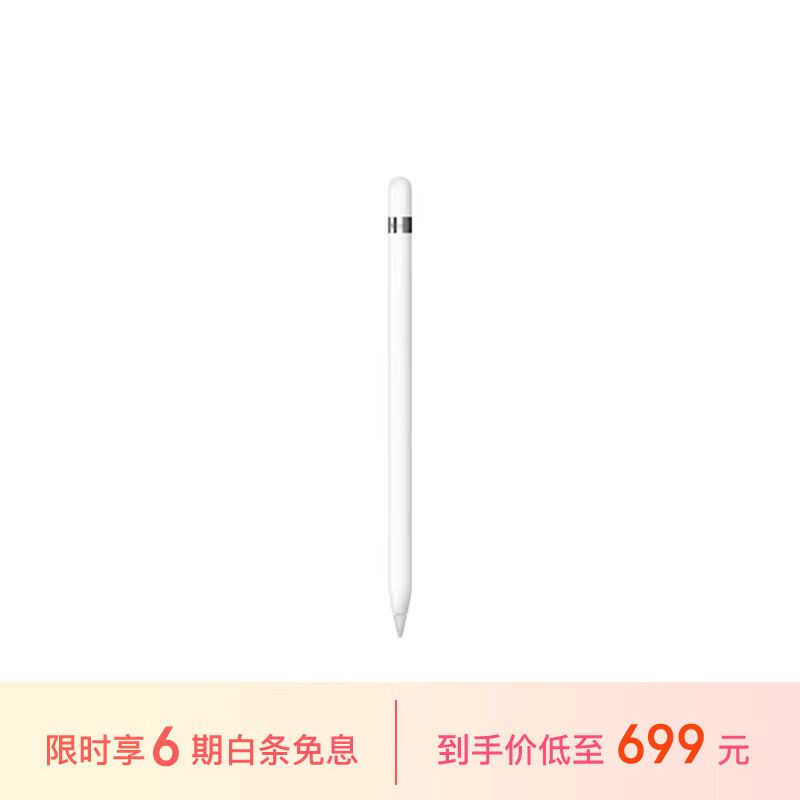 Apple Pencil (第一代) 含USB-C转换器 适用iPad mini5/iPad Air3/iPad 10.2英寸(第九/十代)