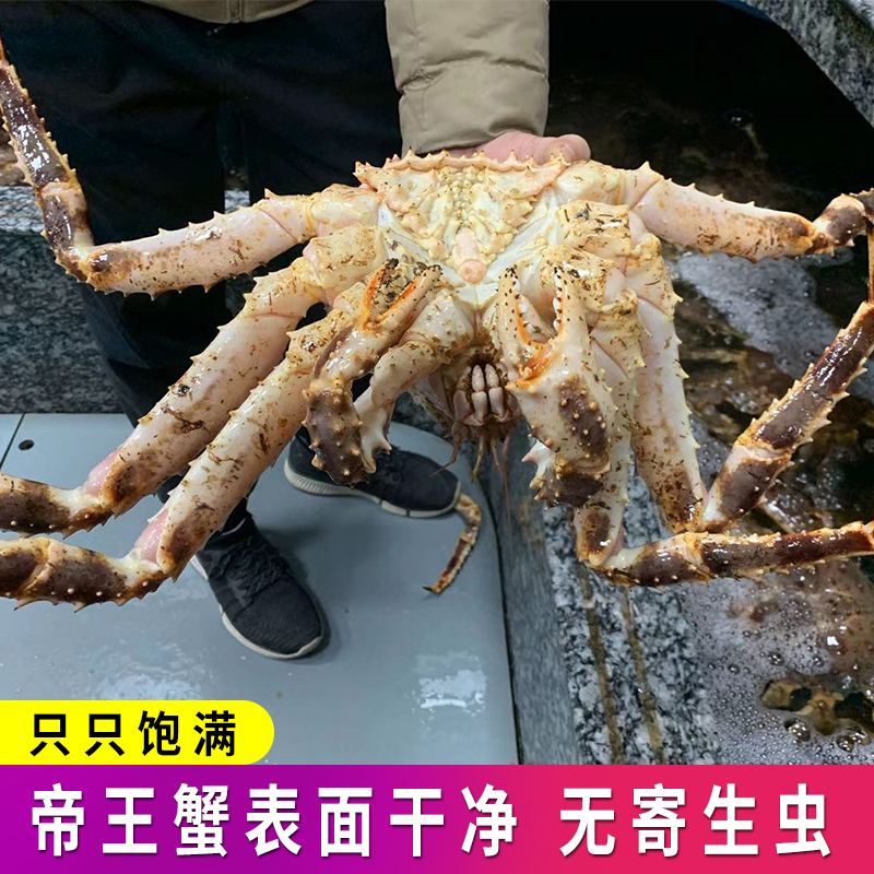 帝王蟹海鲜鲜活冷冻10斤螃蟹新鲜活冻俄罗斯进口帝皇阿拉斯加 【2-2.4斤/只】(单人款)