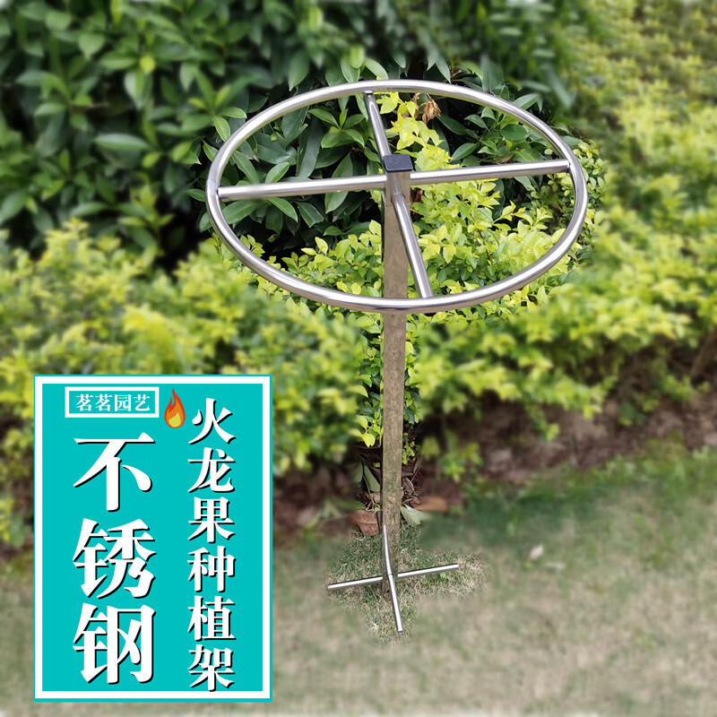 盎梓不锈钢花架花架户外室外花架火龙果架不锈钢种植架火龙果支撑架地