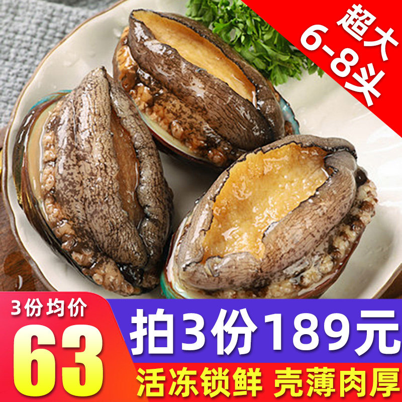 贝类的价格行情与趋势|贝类价格比较