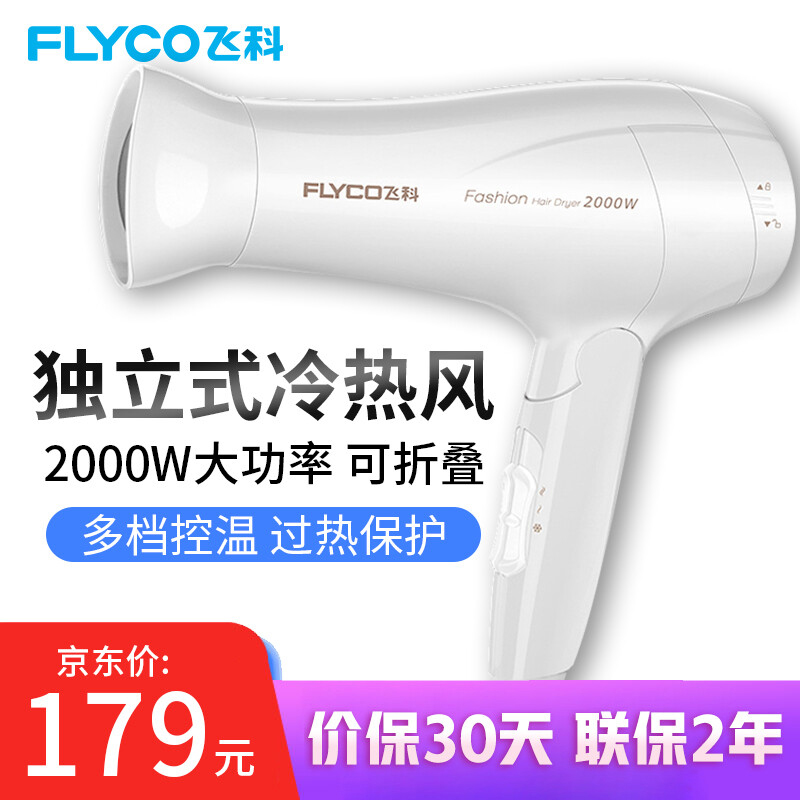 飞科（FLYCO）电吹风机家用冷热风2000W大功率吹风筒大风可折叠电风吹机吹飞 标配