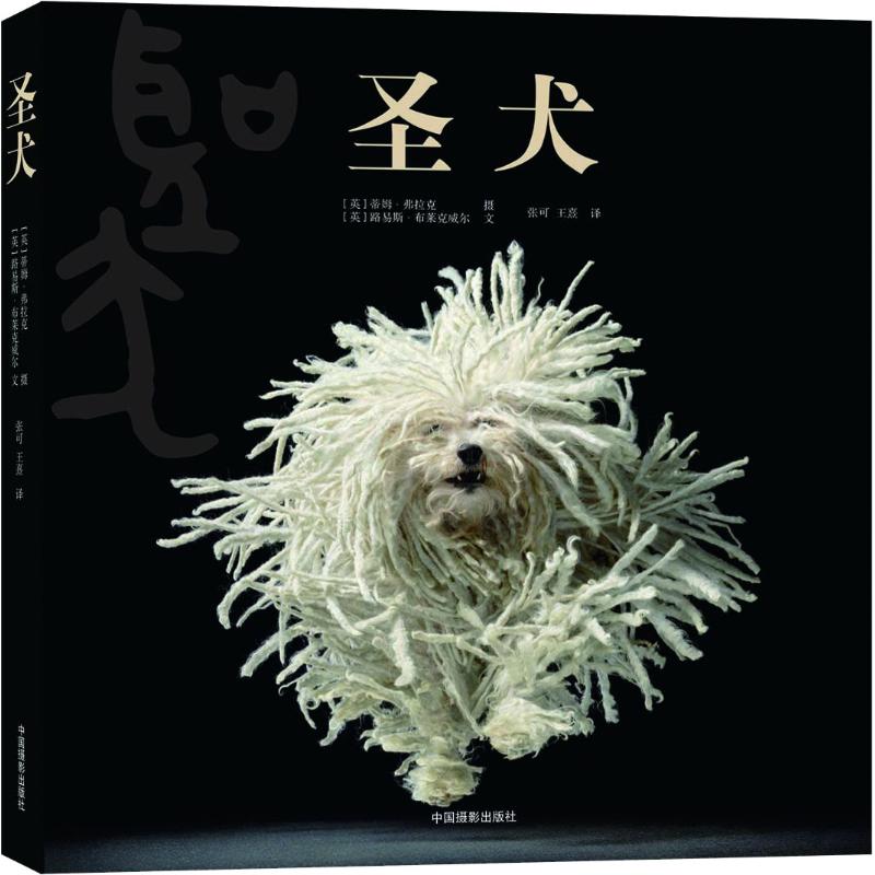 圣犬