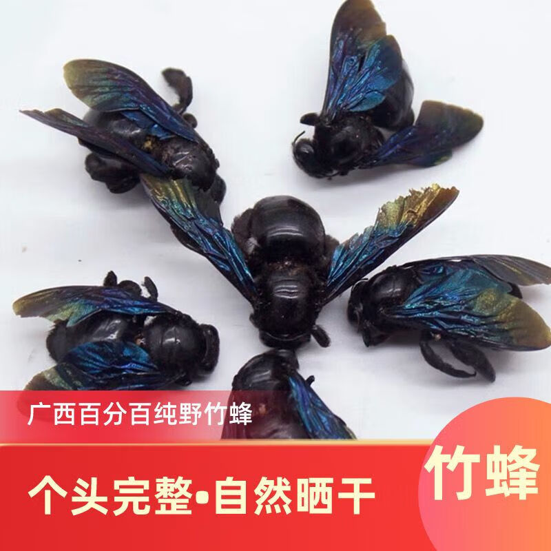 广西野生竹蜂竹筒蜂乌蜂象蜂中药材袋装泡水炖汤无硫自然晒 干货完整
