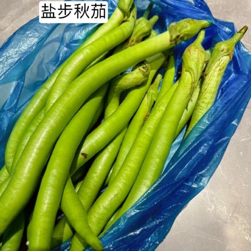 农场直供蔬菜：现代农业的新篇章
