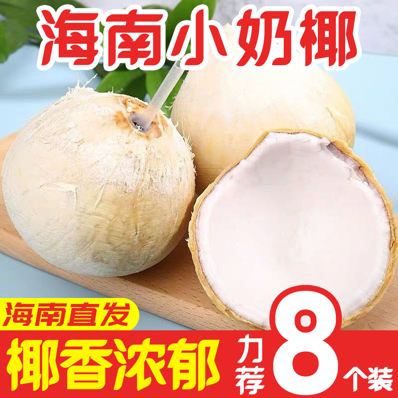 财莱乐三亚牛奶椰皇香椰去皮小椰子芋奶椰海南三亚新鲜水果 8个