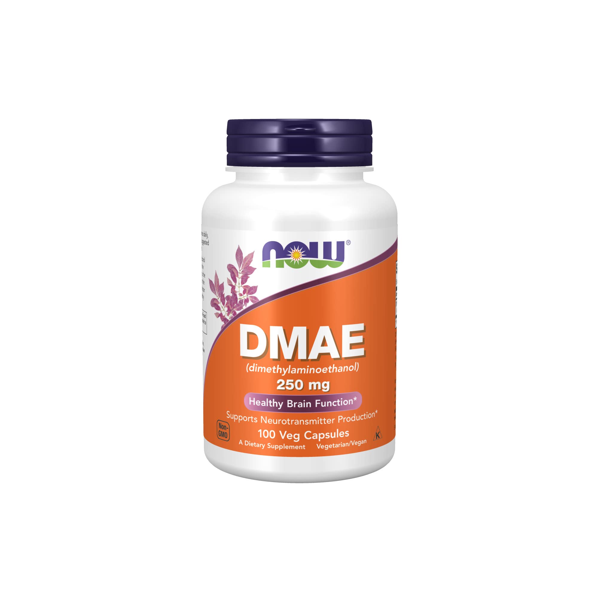NOW FOODS FOODS 诺奥 DMAE胶囊 250mg 补脑增强记忆力 美国进口 100粒